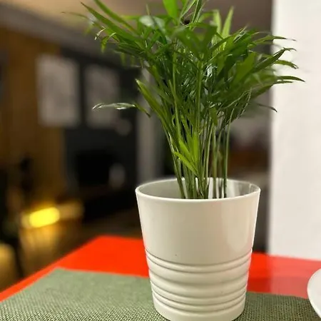 Apartamento Loft Centro *
